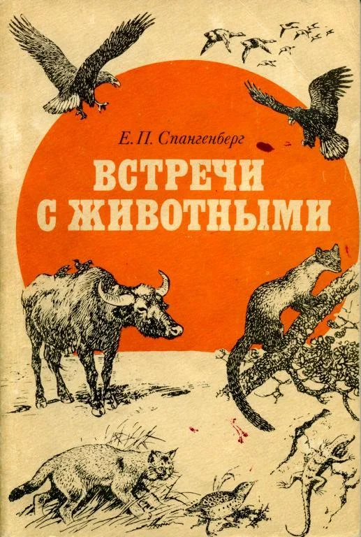 Обложка Встречи с животными