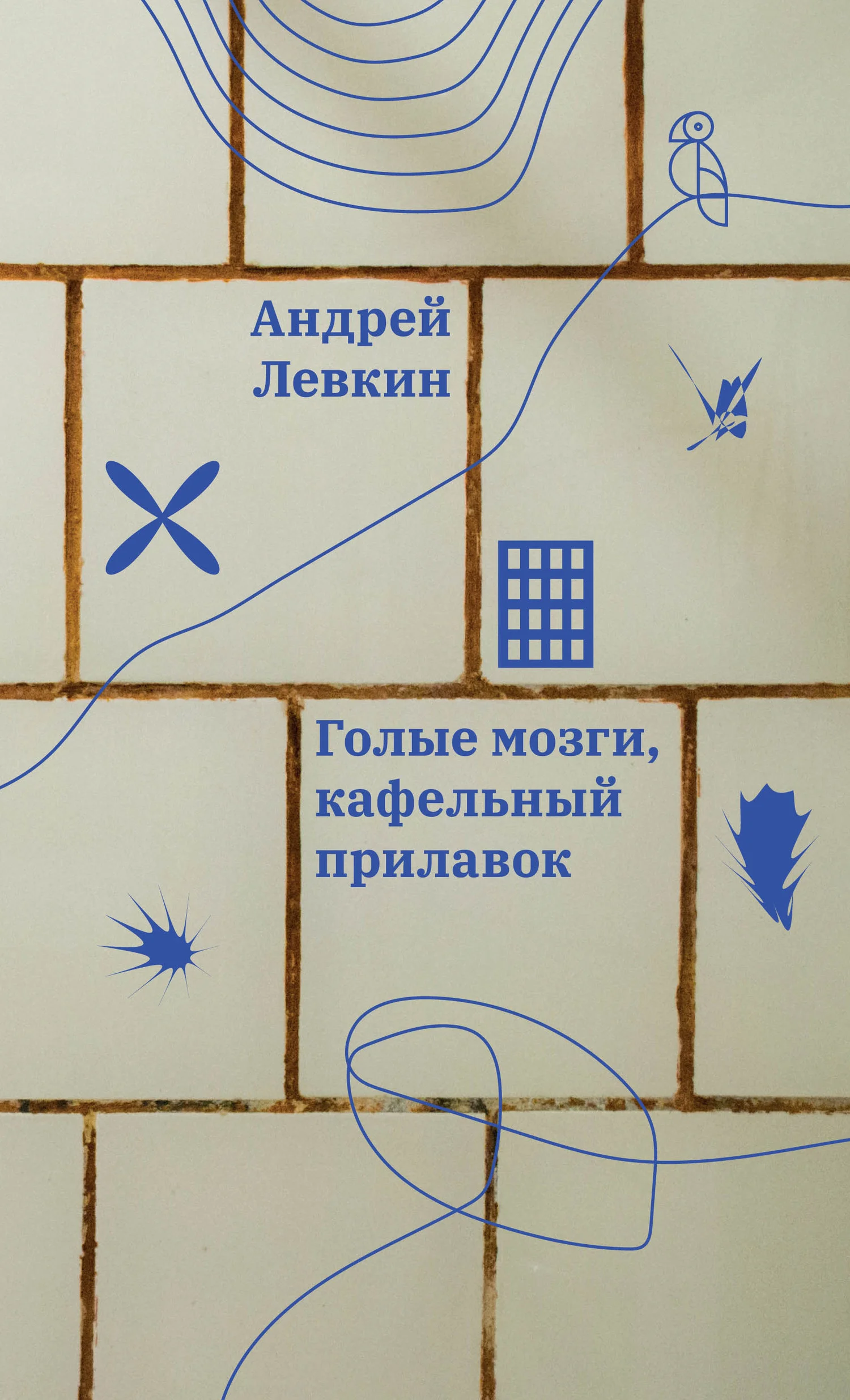 Обложка Голые мозги, кафельный прилавок