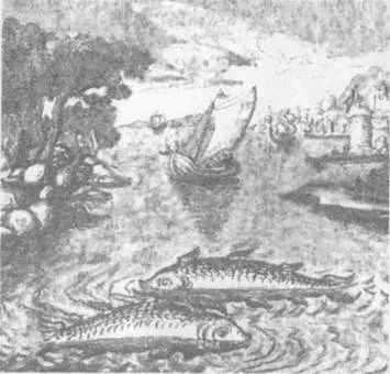 Обложка Психическая энергия: превращения и истоки