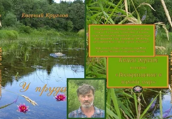 Обложка У ПРУДА