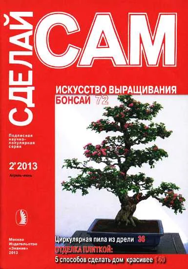 Обложка Искусство выращивания бонсай. Циркулярная пила из дрели... ("Сделай сам" №2∙2013)