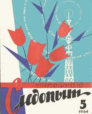 Обложка Патент Сверхновой