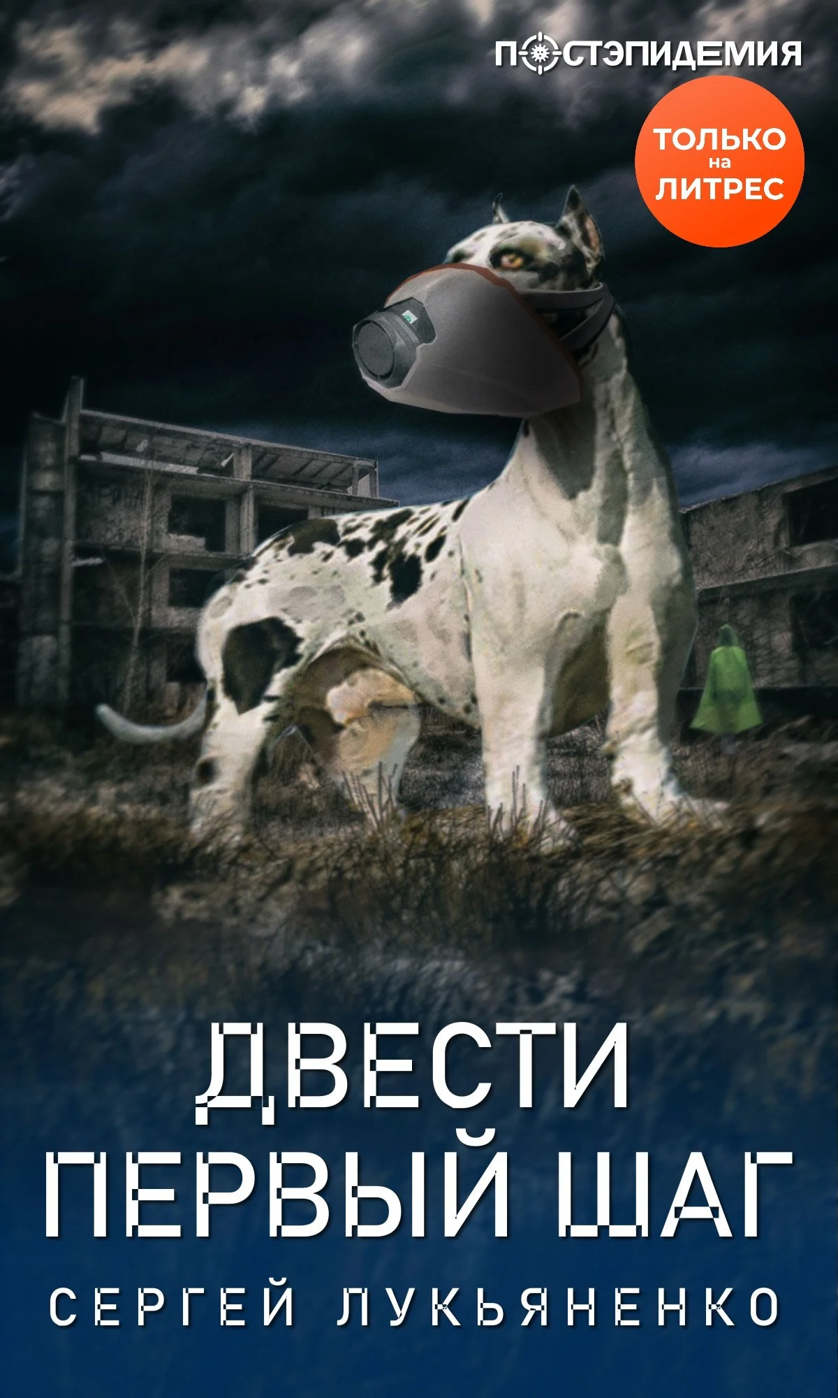 Обложка Двести первый шаг