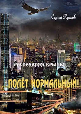 Обложка Расправляя крылья 2. Полет нормальный