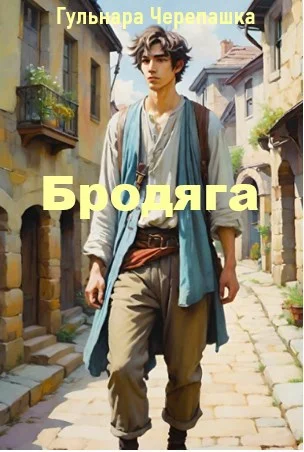 Обложка Бродяга