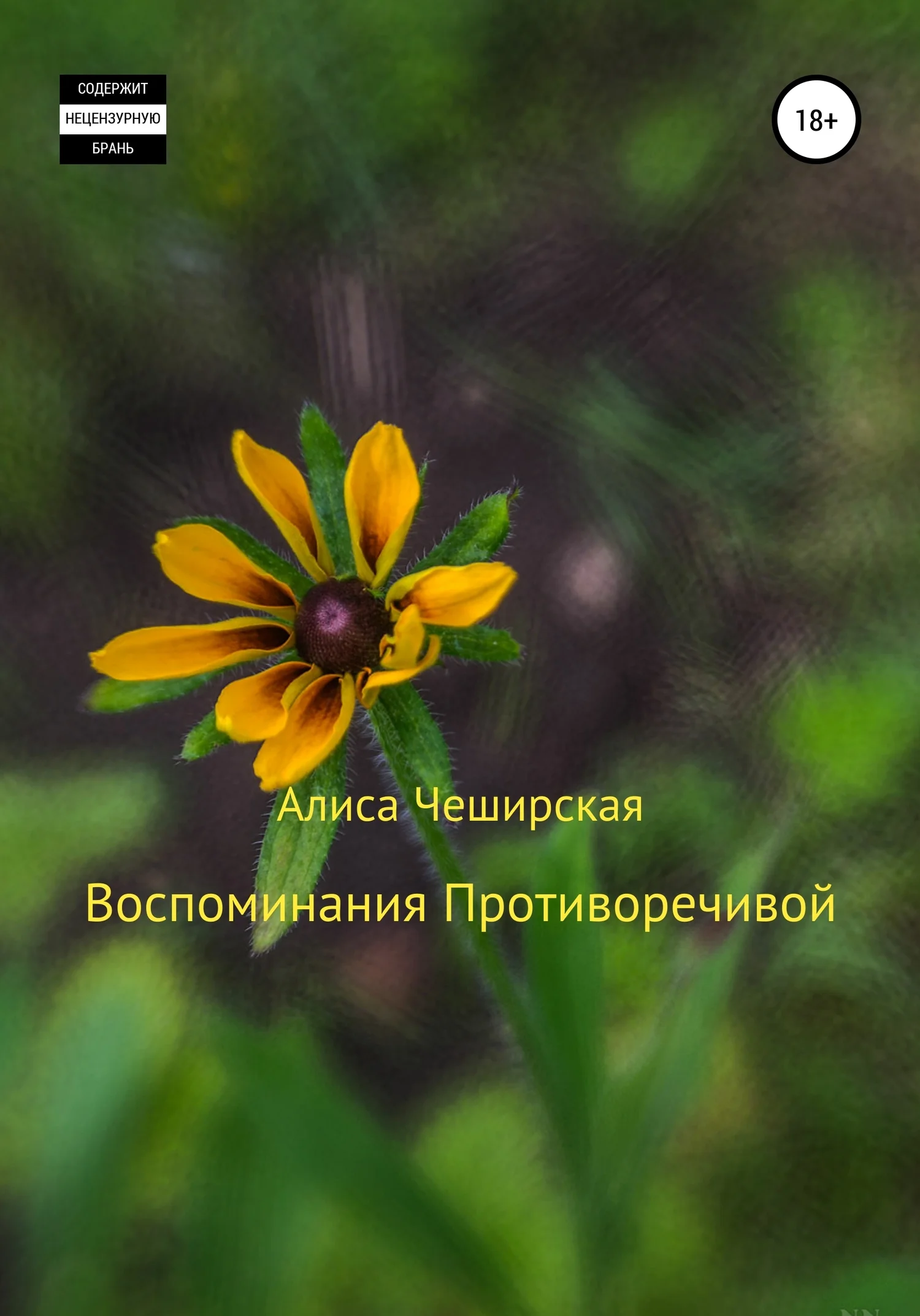Обложка Воспоминания Противоречивой