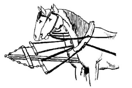 Обложка Конская упряжь — основные элементы, требования и особенности