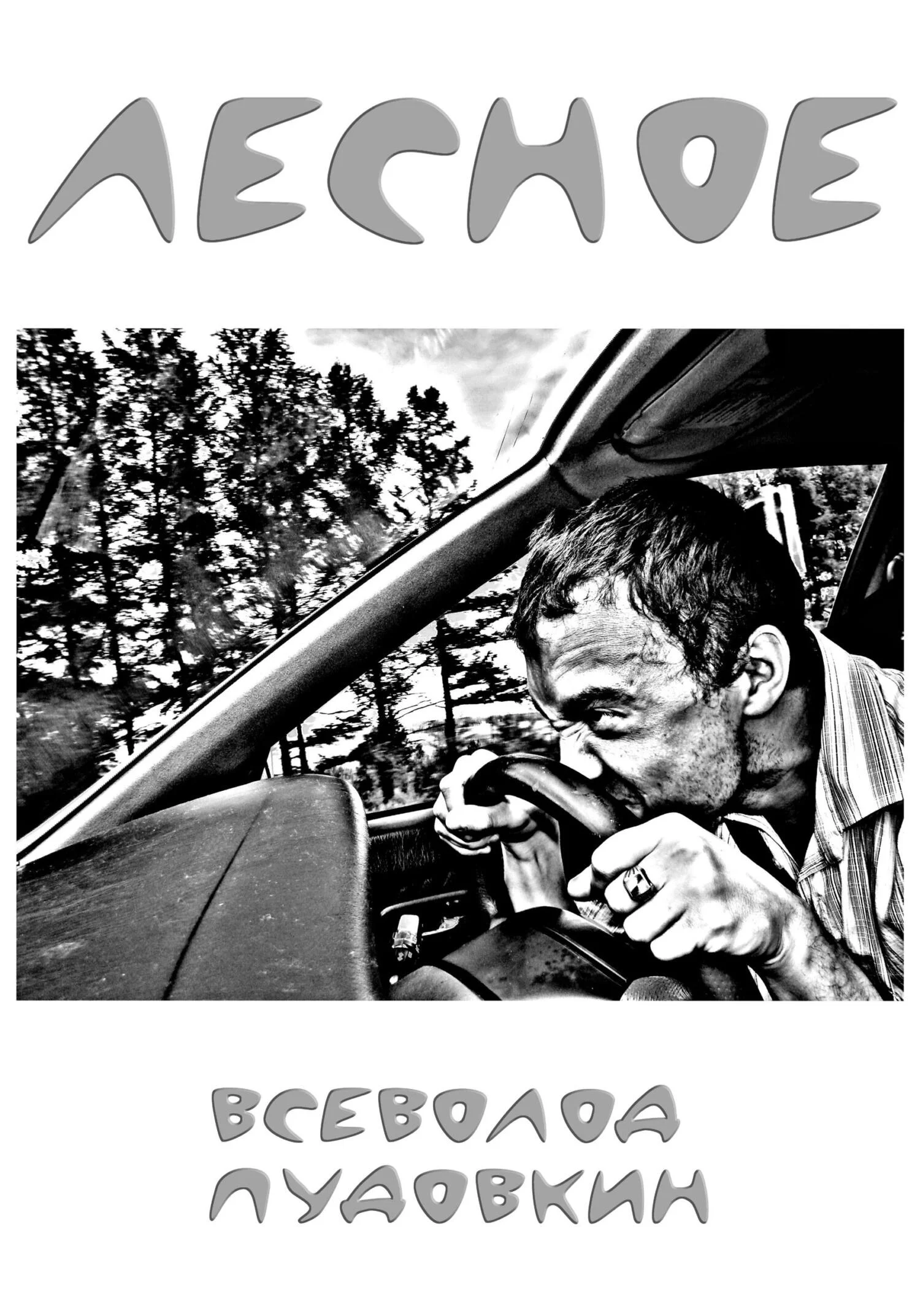 Обложка Лесное