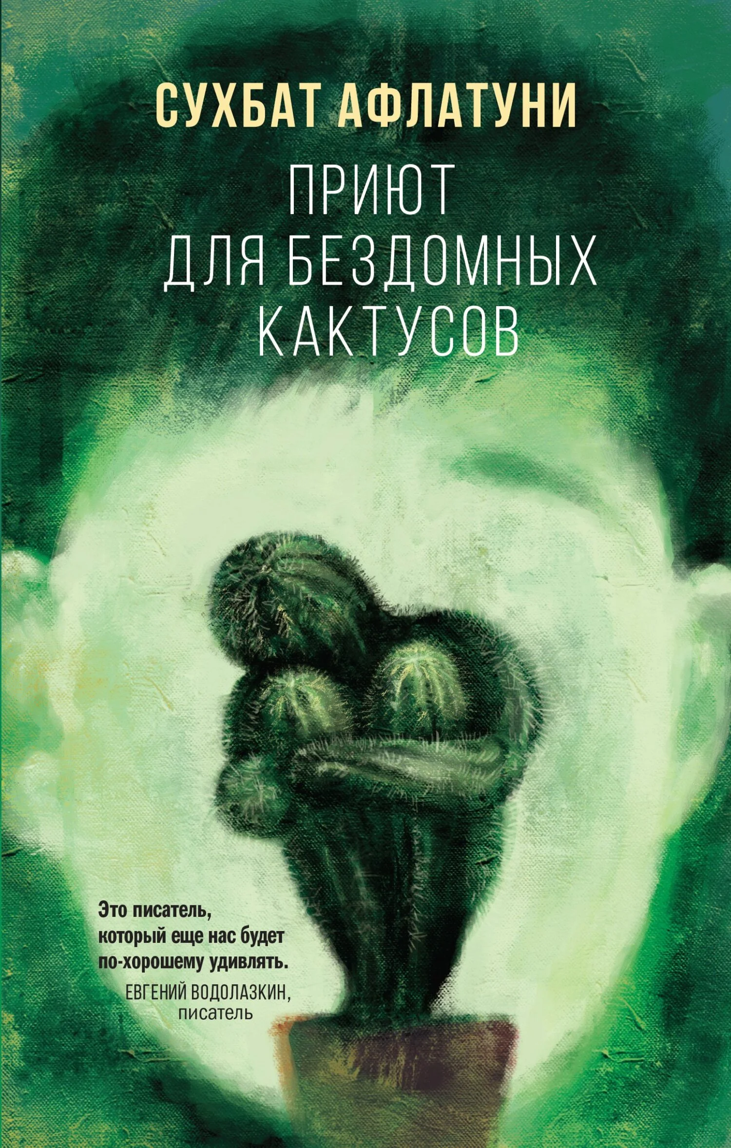 Обложка Приют для бездомных кактусов