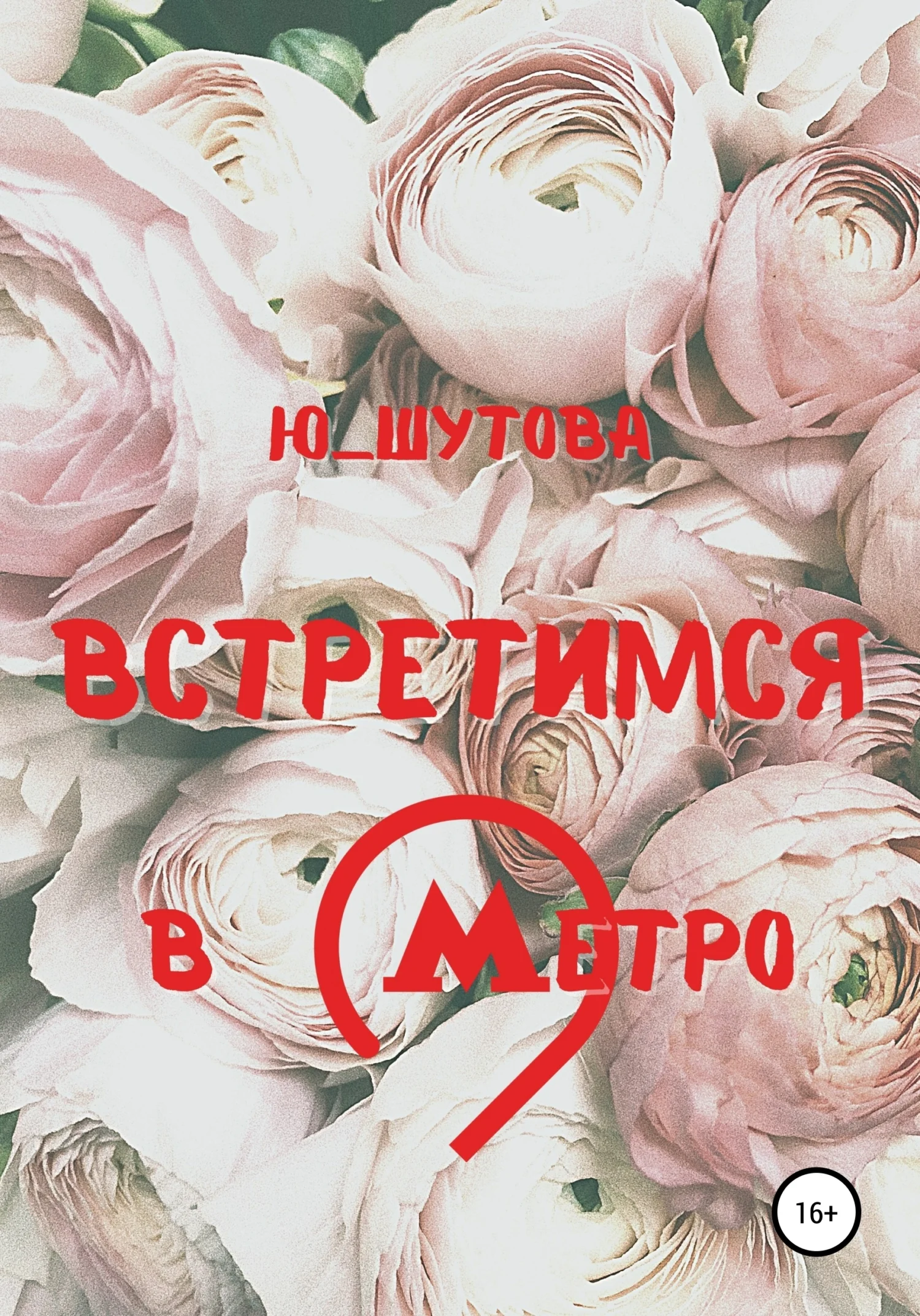 Обложка Встретимся в метро