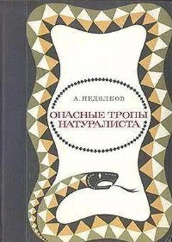 Обложка Опасные тропы натуралиста (Записки ловца змей)
