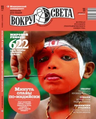 Обложка Автоматы, стоящие на вооружении в армиях разных стран мира