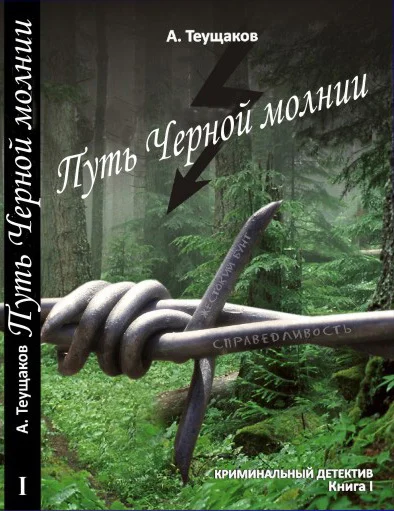 Обложка Путь "Чёрной молнии"