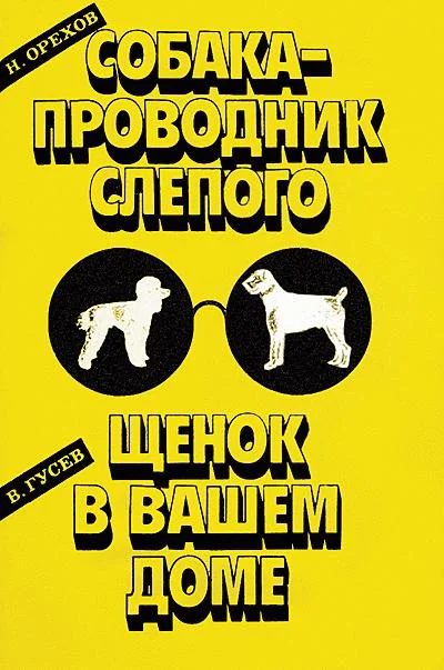 Обложка Собака-проводник слепого