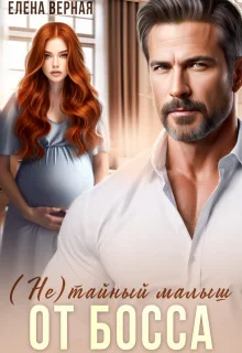 Обложка (не)тайный малыш от босса