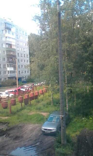 Обложка Баловень судьбы