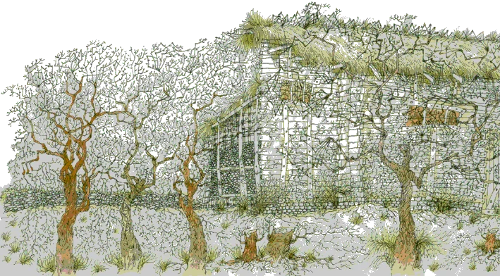 Обложка Тишина Маусли Бартон