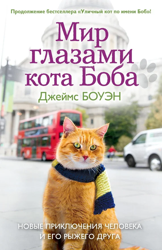Обложка Мир глазами кота Боба. Новые приключения человека и его рыжего друга