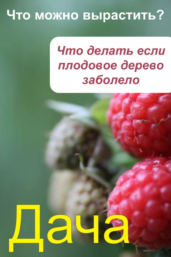 Обложка Что можно вырастить? Что делать, если плодовое дерево заболело