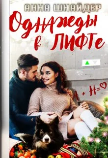 Обложка Однажды в лифте