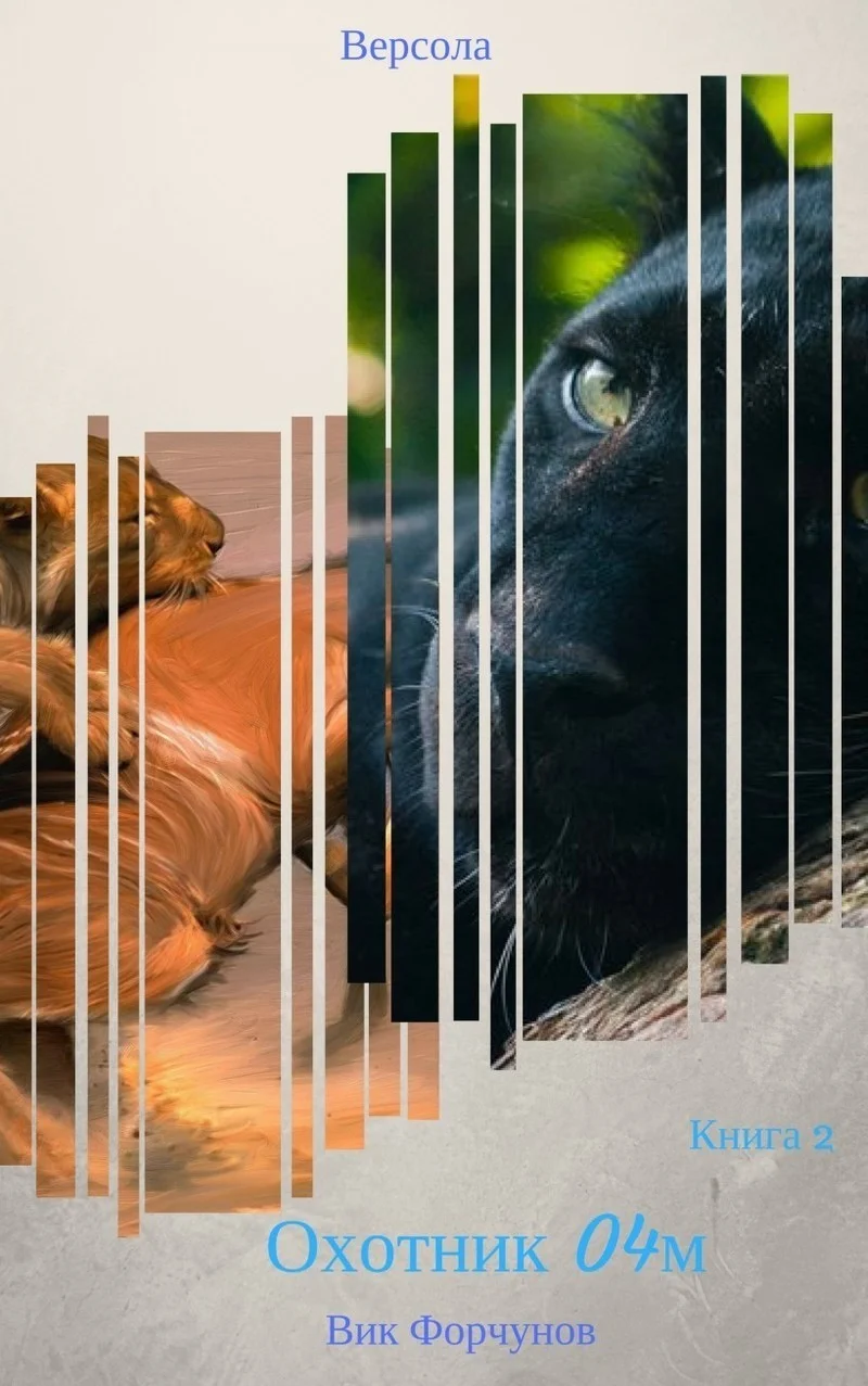 Обложка Охотник 04М (СИ)