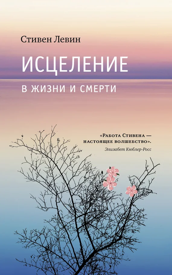 Обложка Исцеление в жизни и смерти