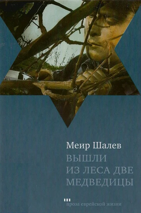 Обложка Вышли из леса две медведицы