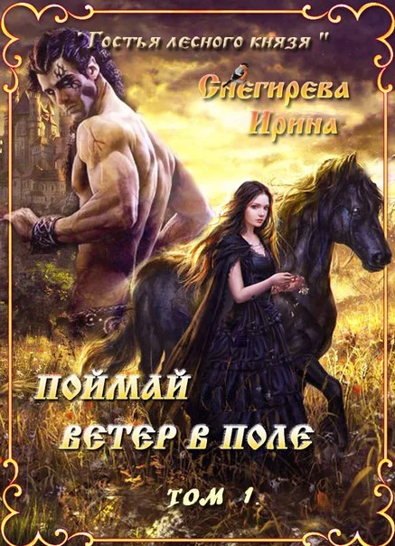 Обложка Поймай ветер в поле. Удержать ветер