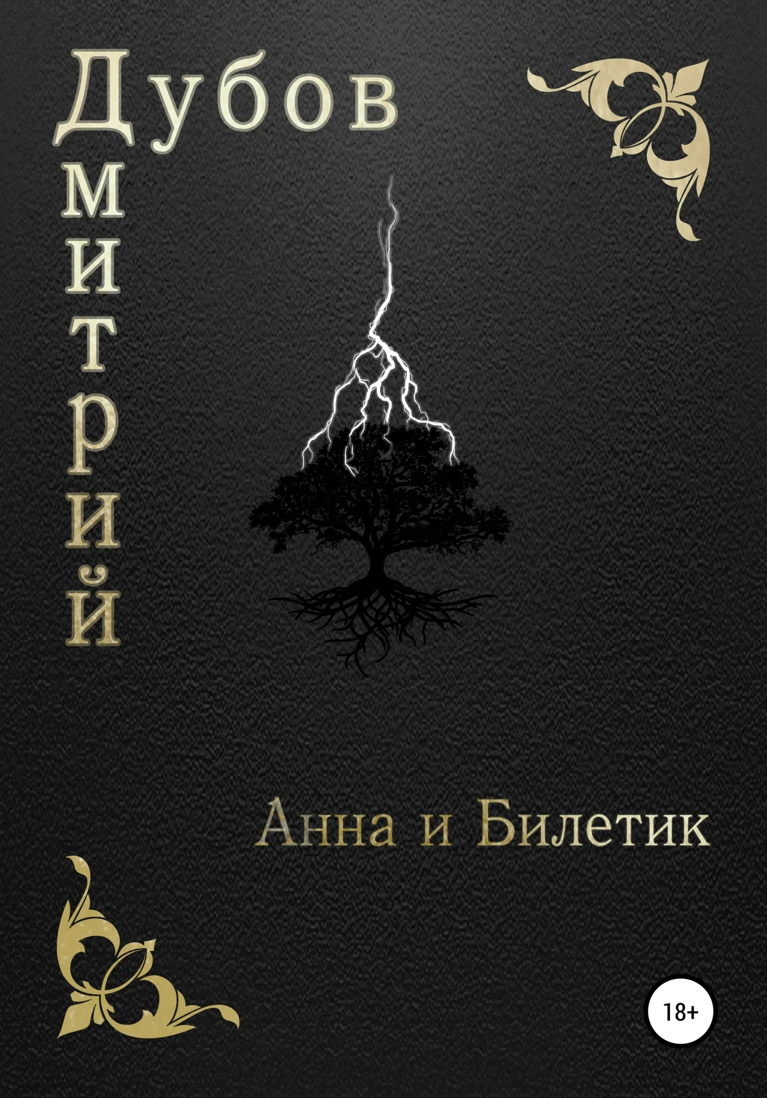 Обложка Анна и Билетик