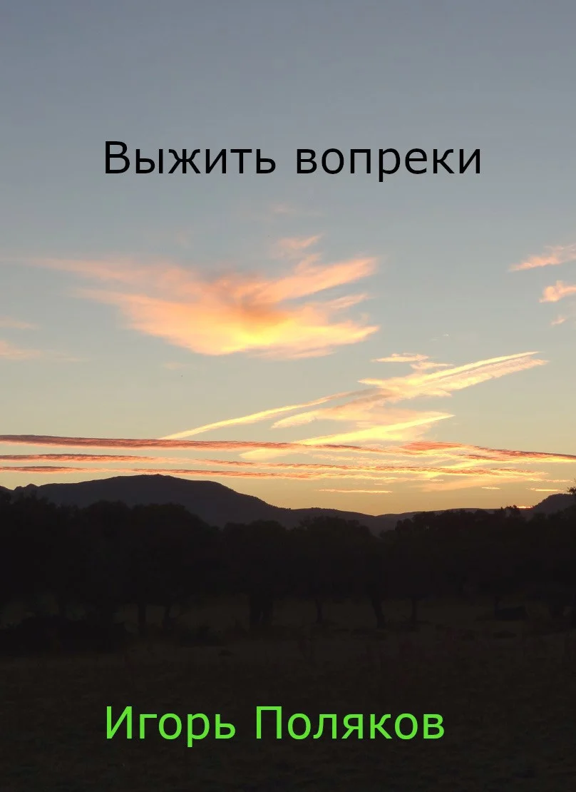 Обложка Выжить вопреки