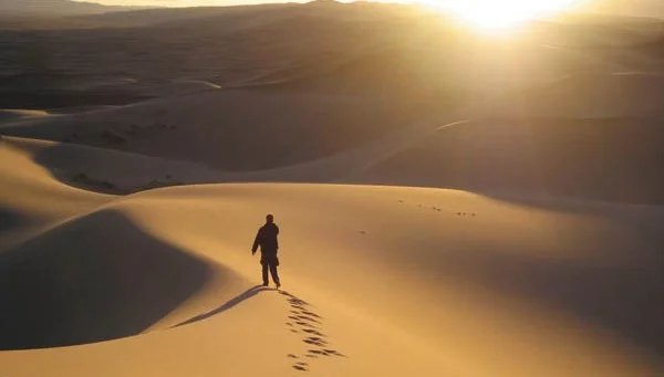 Обложка Одиночка