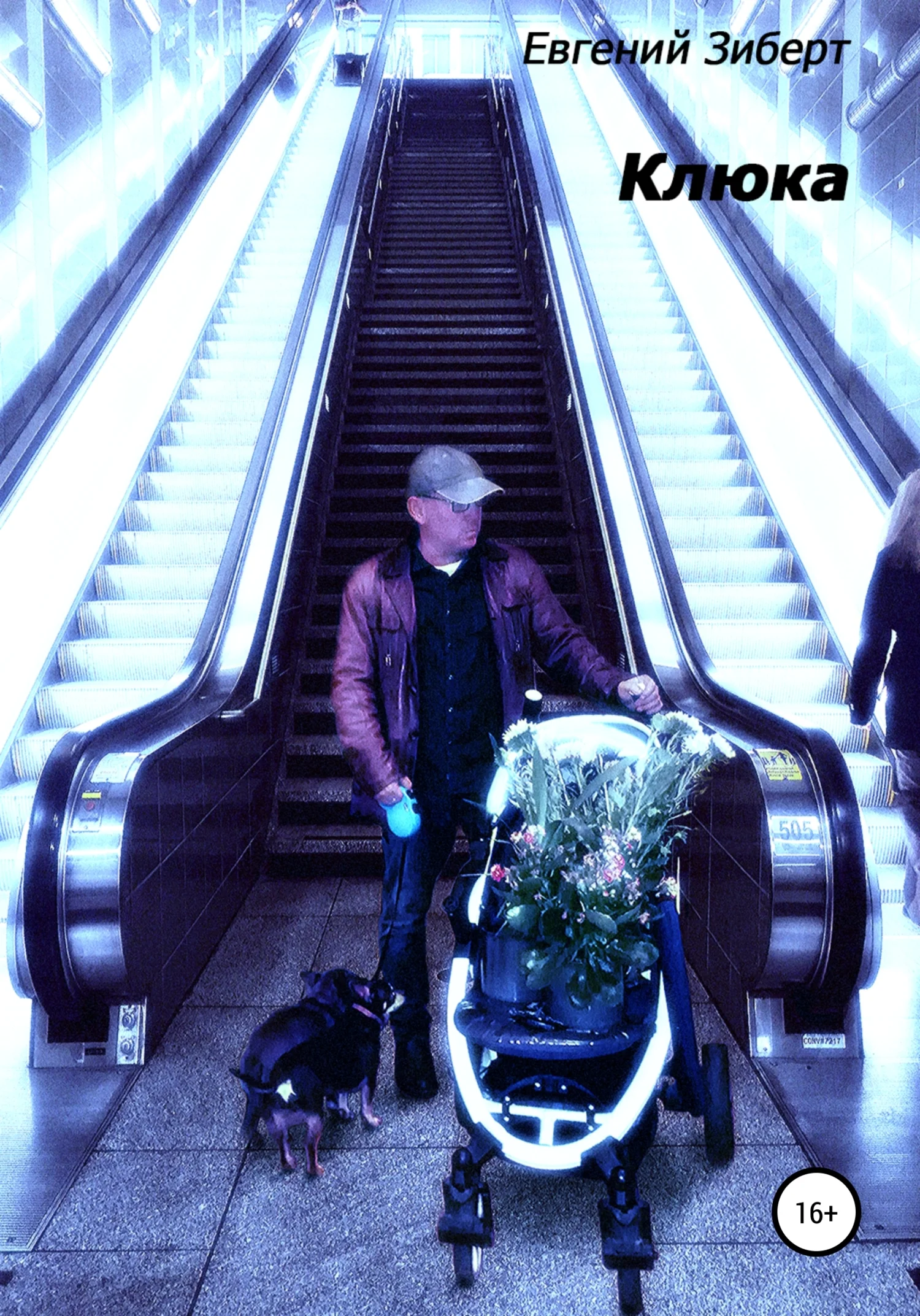 Обложка Клюка