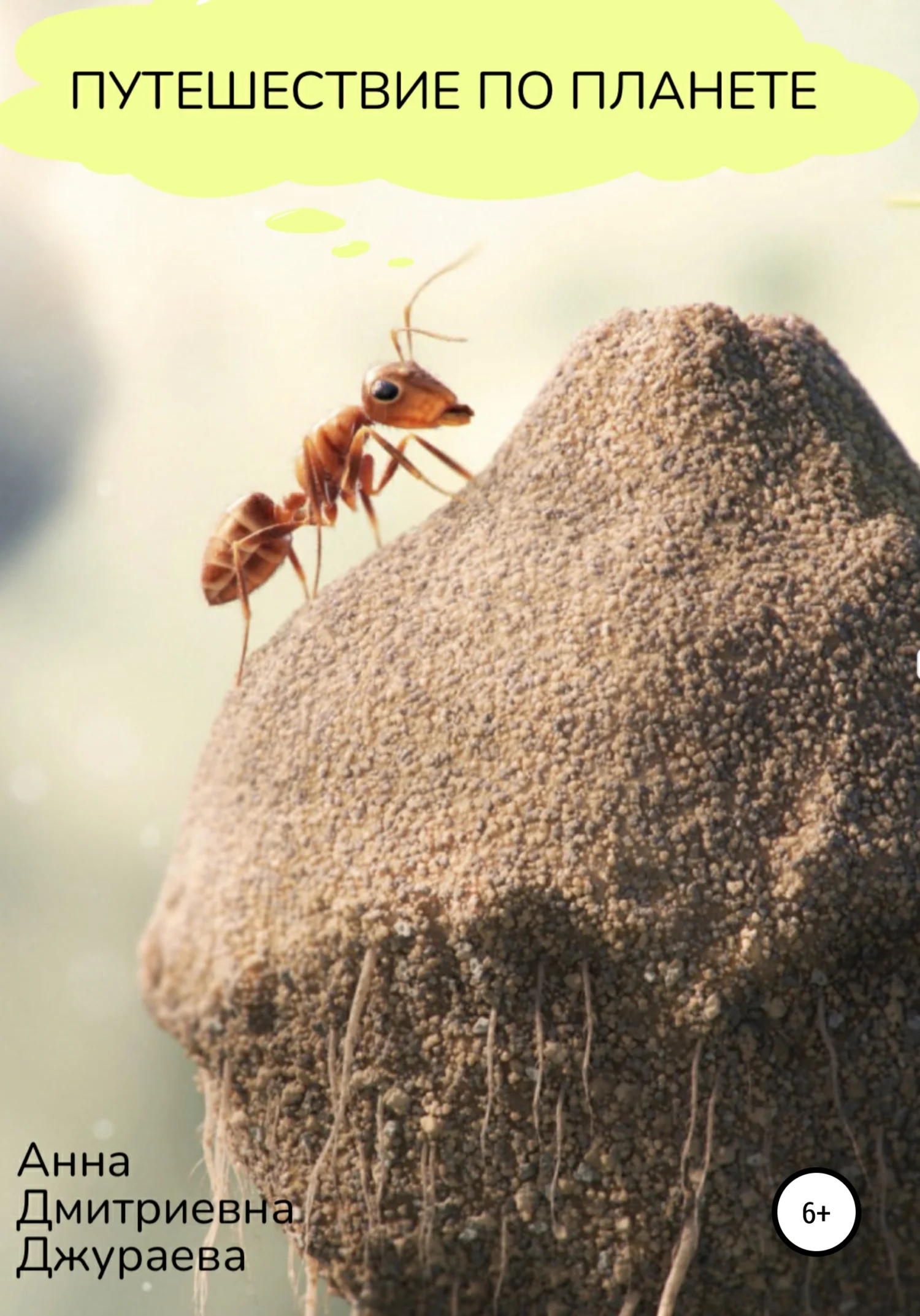 Обложка Путешествие по планете