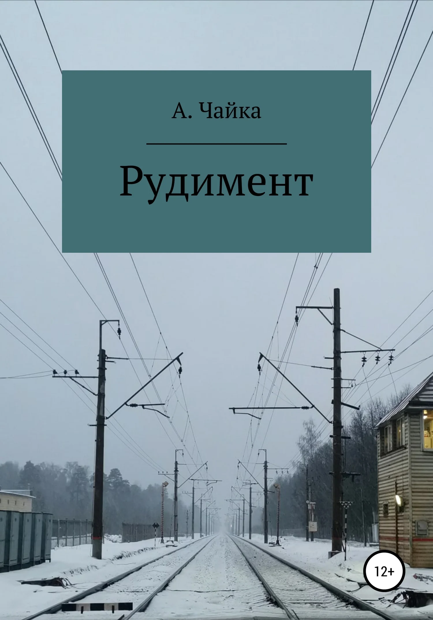 Обложка Рудимент