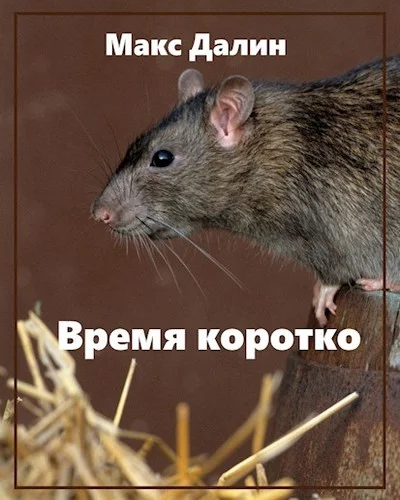Обложка Время коротко