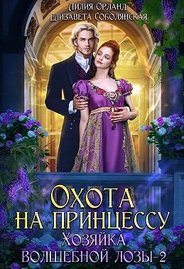 Обложка Охота на принцессу