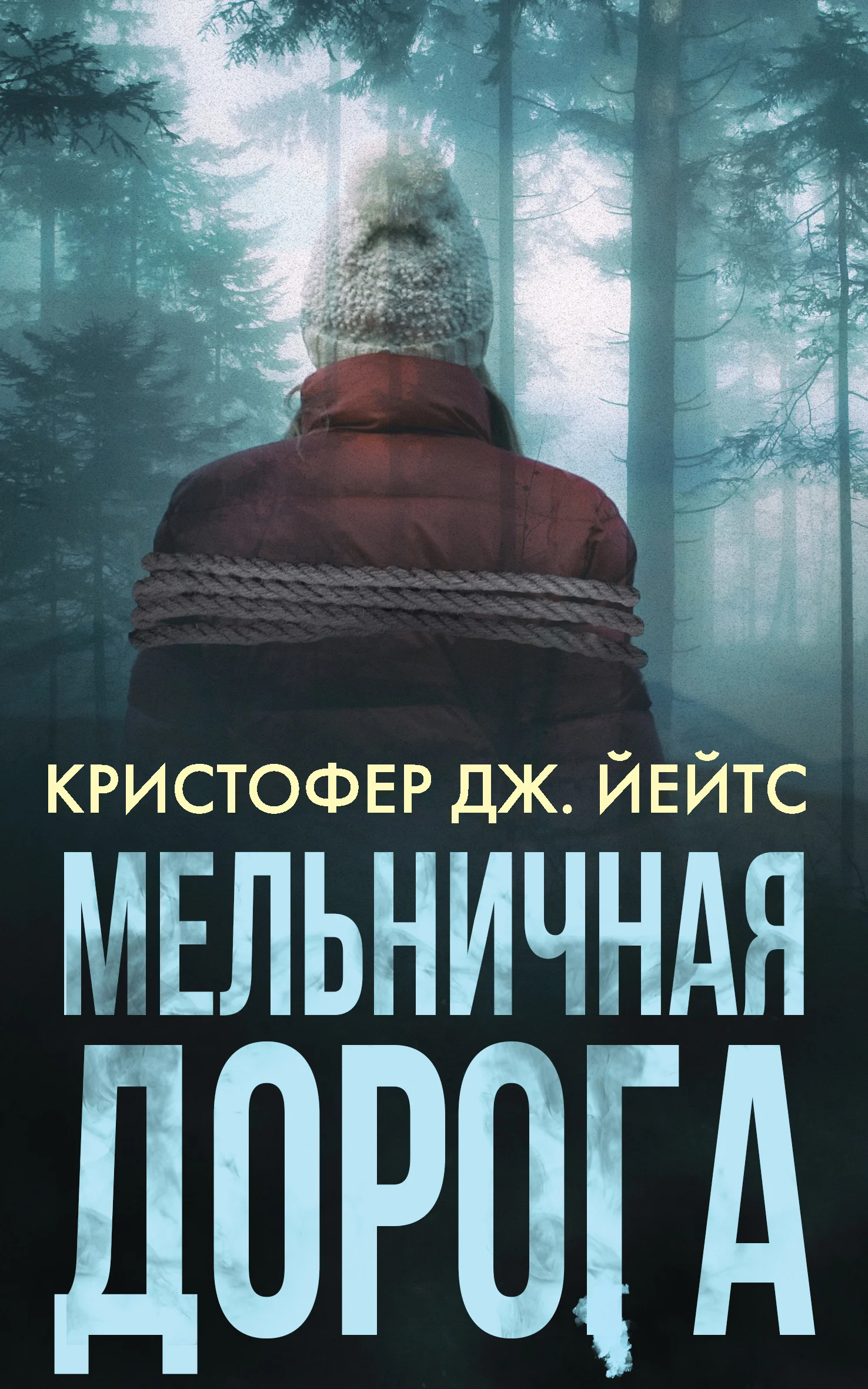 Обложка Мельничная дорога