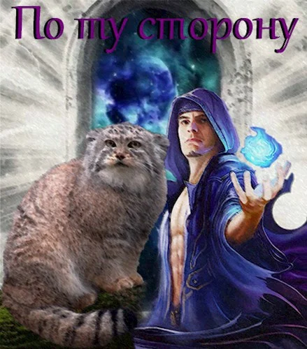 Обложка По ту сторону