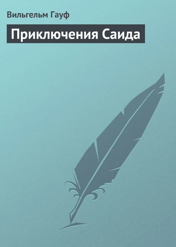 Обложка Приключения Саида