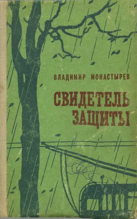 Обложка Свидетель защиты