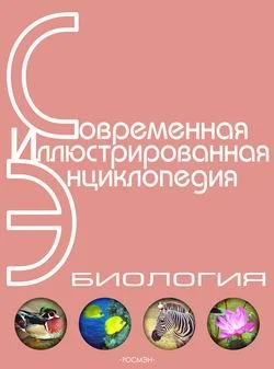 Обложка Энциклопедия «Биология». Часть 1. А – Л (с иллюстрациями)