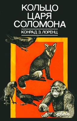 Обложка Кольцо царя Соломона