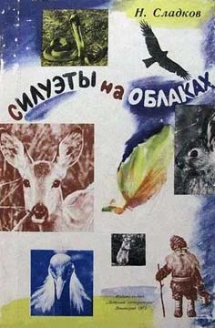 Обложка Силуэты на облаках