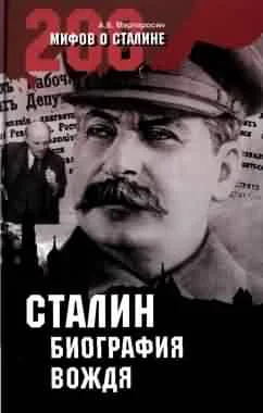 Обложка Сталин: биография вождя