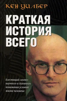 Обложка Краткая история всего