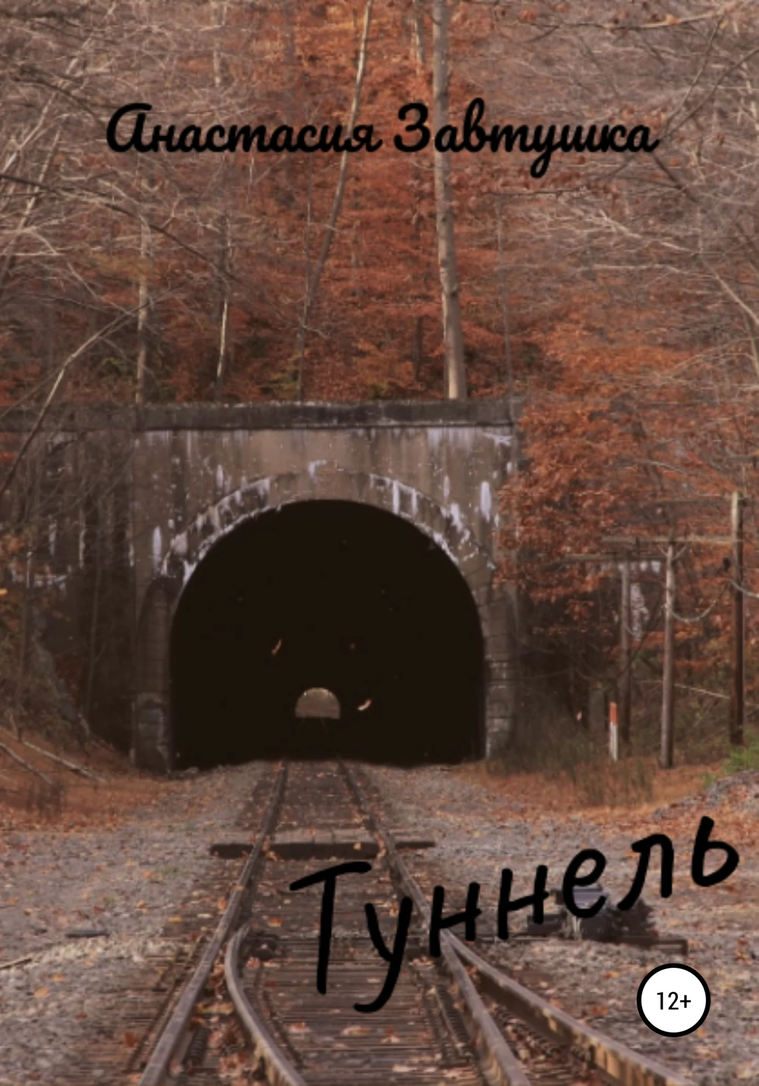 Обложка Туннель