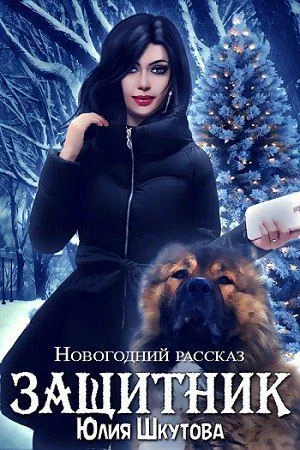 Обложка Защитник (СИ)