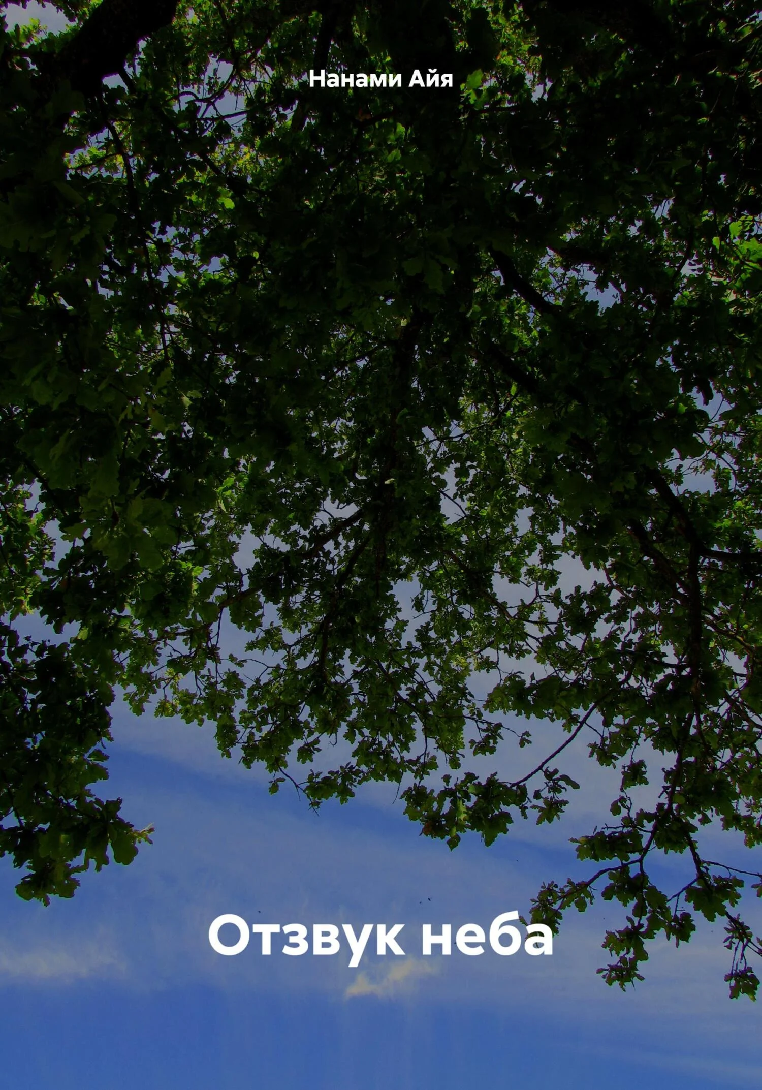 Обложка Отзвук неба