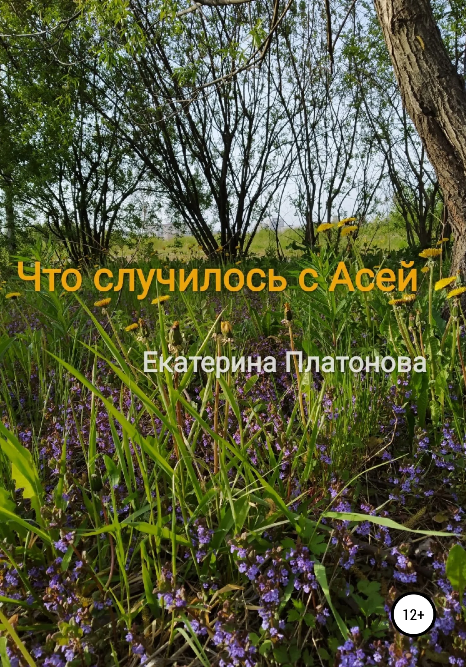 Обложка Что случилось с Асей