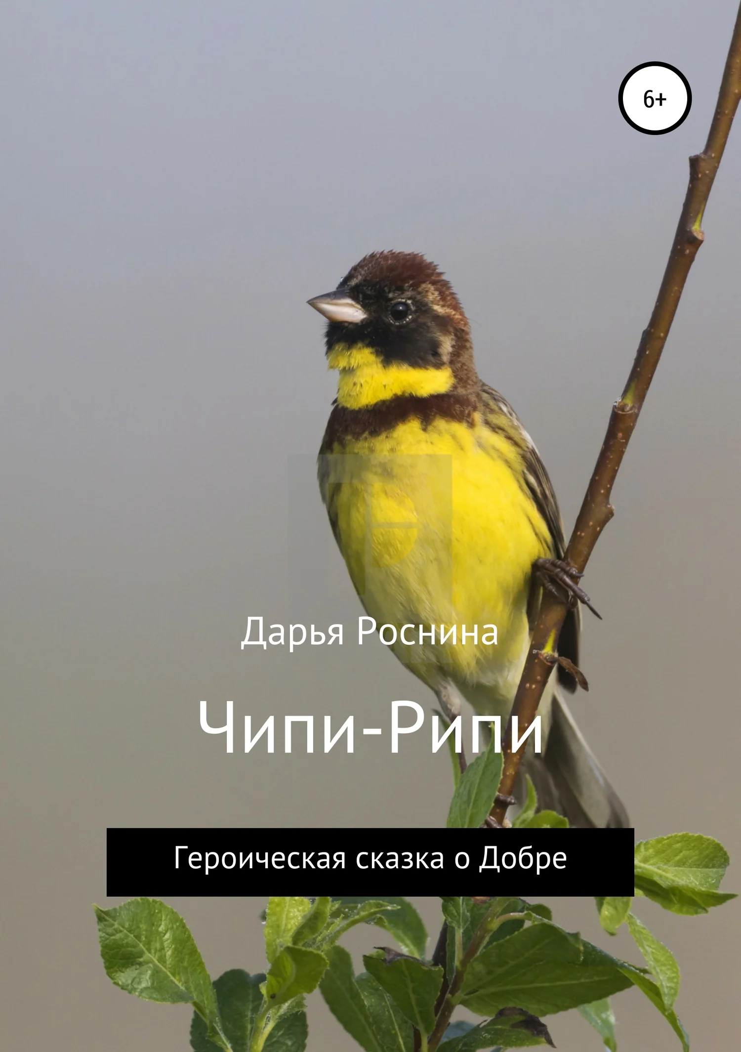 Обложка Чипи-Рипи. Героическая сказка о Добре